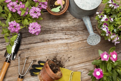 Professional garden clearance service in Bermondsey