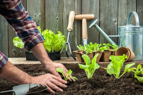 Soil preparation for garden maintenance in Bermondsey