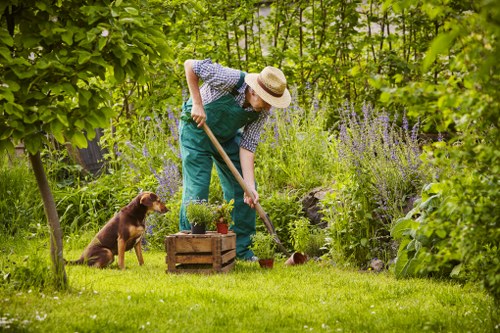 A person wearing a straw hat, blue overalls, and a checkered shirt is tending to a lush garden with a small spade, planting or digging near a wooden plant container. The garden features a well-maintained grassy lawn in the foreground, surrounded by dense green foliage, flowering plants, and tall bushes, creating a natural and vibrant outdoor space typical of a residential garden in Bermondsey. A brown dog, sitting attentively, is nearby, observing the gardener's activity. The environment appears bright and slightly overcast, with natural light illuminating the scene, ideal for outdoor gardening and maintenance work, supported by local landscaping services such as those offered by Landscapers Bermondsey.