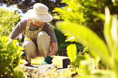 Our comprehensive garden clearance services