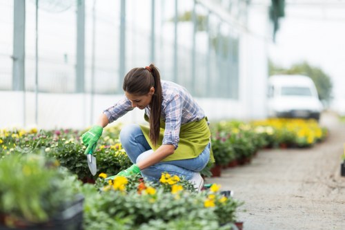 A woman wearing green gardening gloves, a plaid shirt, and jeans is kneeling on a paved pathway in a well-maintained garden. She is tending to a variety of flowering plants, including yellow and purple blooms, which are planted in beds along the pathway. Behind her, there is a lush, green lawn bordered by neatly trimmed hedges and small trees, creating a structured garden layout. The garden appears to be in a residential or commercial outdoor space, with a greenhouse or glass building visible in the background, allowing natural light to enhance the vibrant colors of the plants. A white vehicle is parked at a distance. The scene shows an outdoor environment during daylight hours, with clear weather and bright, natural lighting. The overall setting emphasizes a tidy, landscaped garden designed for aesthetic appeal and outdoor enjoyment, aligning with gardening and landscaping services offered by Landscapers Bermondsey, as indicated on the website page for Bermondsey patio repair solutions in South London.