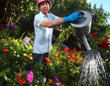 A man in a light blue shirt, wearing a wide-brimmed straw hat and blue gardening gloves, is watering a vibrant garden with a black watering can. The garden features a variety of colourful flowers, including red, pink, and purple blooms, surrounding lush green foliage and shrubs. In the background, there are mature trees with dense green leaves, creating a natural outdoor environment typical of a well-maintained Bermondsey garden. The sunlight casts a bright, natural light across the scene, highlighting the healthy plants and the overall landscaped layout. The garden area includes flower beds with rich soil, and the man appears to be actively tending to the plants, supporting outdoor gardening and lawn care services provided by Landscapers Bermondsey. This detailed scene emphasizes healthy plant growth and a vibrant, diverse garden space suitable for local residential outdoor maintenance in Bermondsey or nearby areas within London postcode areas such as SE1.