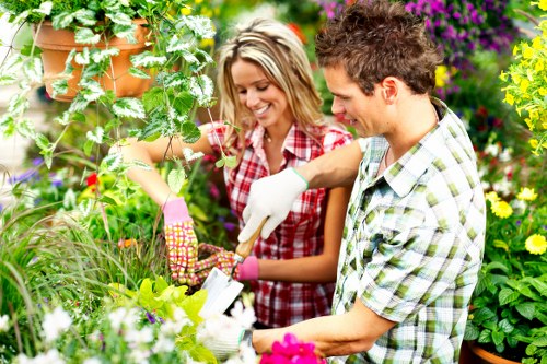 Selection of native and exotic plants for Bermondsey gardens