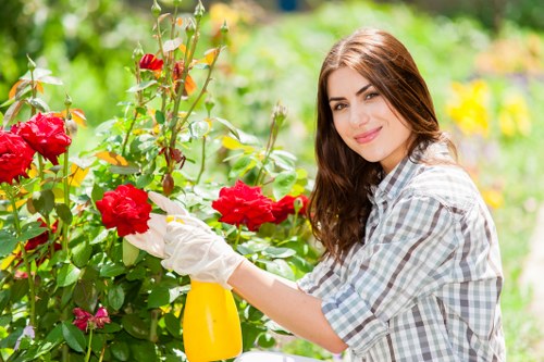 A young woman with long brown hair, dressed in a light plaid shirt, is tending to vibrant red roses in a well-maintained garden. She is wearing white gardening gloves and is holding a yellow spray bottle, likely for watering or plant care. The rose bush is lush with deep green leaves and numerous blooms, set against a backdrop of varying green foliage and blurred colorful flowers, indicating a lively outdoor space typical of Bermondsey's private garden areas. The ground around the plants appears to be soil or mulch, and the garden is bathed in natural daylight, suggesting a clear, sunny day. The scene reflects diligent gardening activity, characteristic of professional landscaping and garden maintenance services offered by Landscapers Bermondsey, with the garden neatly arranged and flourishing. The environment showcases a typical urban garden with a mix of flowering plants and foliage, highlighting outdoor care and landscaping details relevant to the local area.