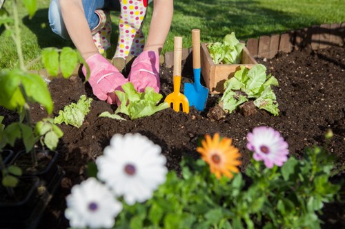 Professional lawn mowing service in Bermondsey neighborhood