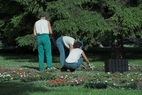 Professional landscaper designing a Bermondsey garden