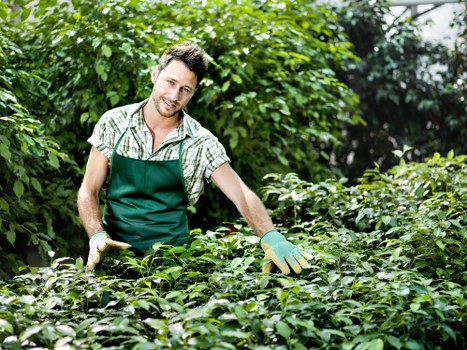 Eco-friendly lawn mowing equipment in Bermondsey