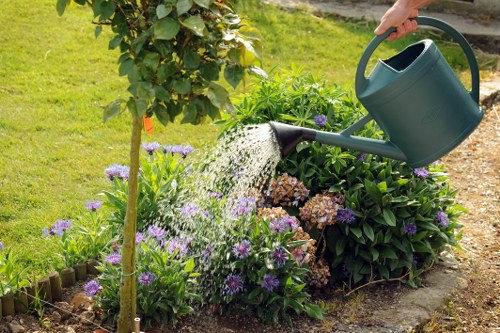 Steps involved in garden clearance process