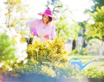 The image depicts a woman in a pink hat and gardening gloves working in a well-maintained outdoor garden space, which includes a variety of plants, shrubs, and flower beds. She is tending to a flower bed edged with wooden borders, featuring lush green foliage and bright yellow flowers. Behind her, there is a neatly mown lawn with dense, healthy grass, and a backdrop of mature trees with fresh green leaves, suggesting a vibrant spring or summer day in Bermondsey. A blue watering can is placed on the grass near the flower bed, indicating regular garden maintenance. The overall scene captures a bright, sunny environment with natural light illuminating the garden, emphasizing the connection to professional gardening services offered by Landscapers Bermondsey. The setting showcases typical features of a landscaped backyard or front garden, including soil beds, paving areas, and vibrant plantings, aligned with local outdoor gardening and landscaping standards.