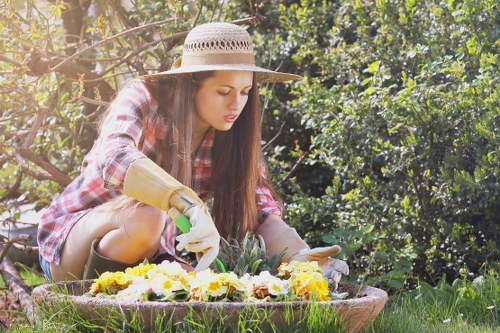 Healthy green lawn maintained by professionals in Bermondsey