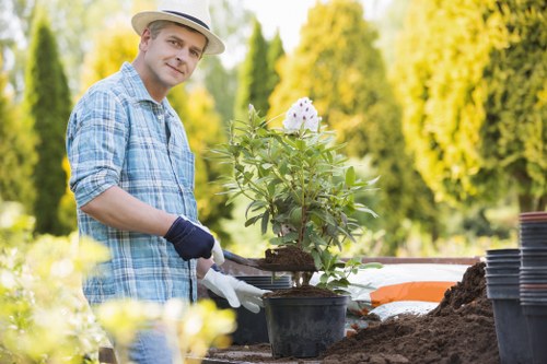 The image depicts a man working outdoors in a garden, engaging in planting activities. He is wearing a light-colored hat, a blue checkered shirt, and gardening gloves, and is handling a potted plant with green foliage and small white flowers. The garden setting includes well-maintained flower beds with dark soil and a background of lush, tall trees with vibrant yellow-green leaves, indicating a bright, sunny day. Nearby, there are empty black plant pots stacked on a wooden surface, suggesting ongoing planting or garden maintenance. The overall scene highlights a tidy outdoor space with healthy plants, situated in a residential garden area that could be part of a landscaping service project in Bermondsey or surrounding areas, emphasizing proper garden bed preparation, plant handling, and outdoor environmental care.