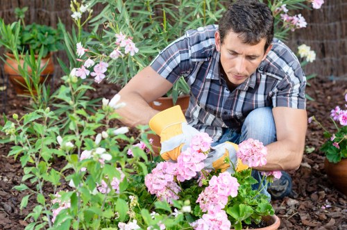Professional response to a landscaping issue review