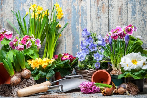 Reasons to choose our garden clearance services